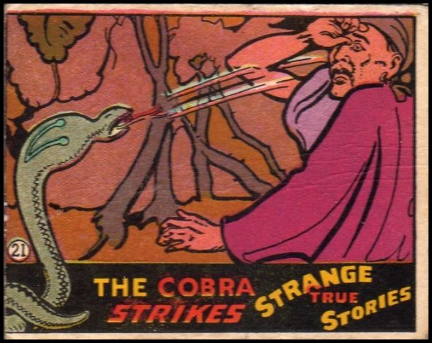 21 The Cobra Strikes